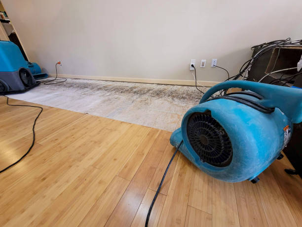Professional Basement Flood Cleanup technician working in Sunset, UT